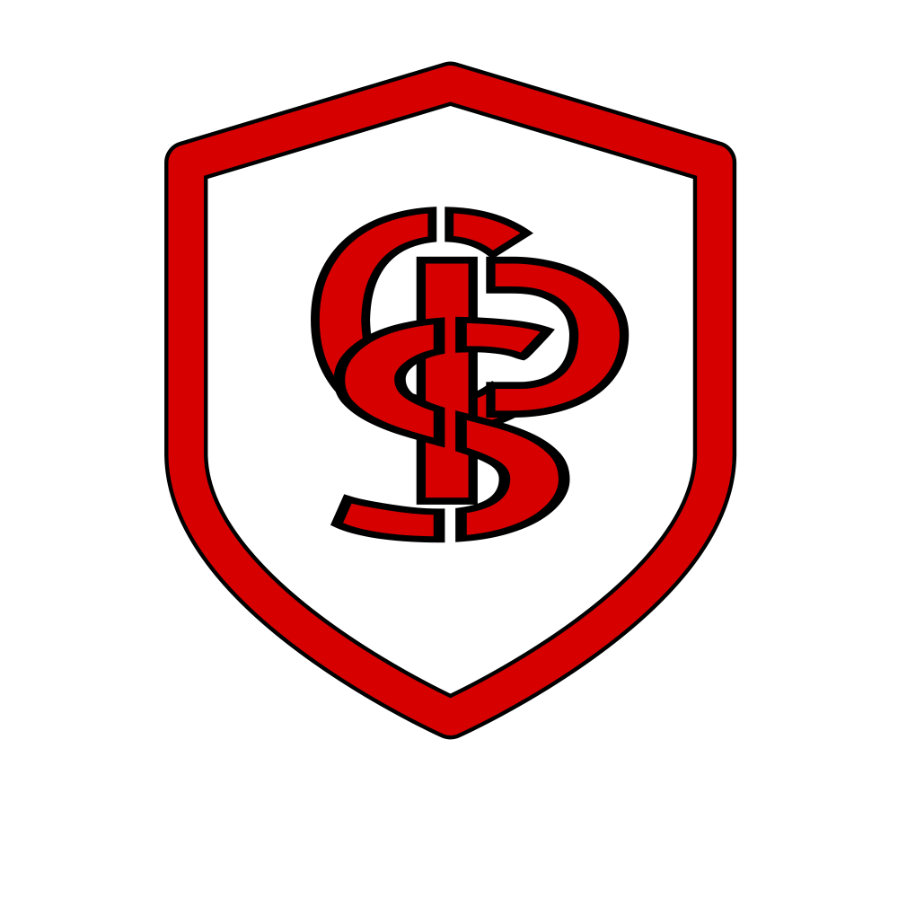 CSP Security Service Logo